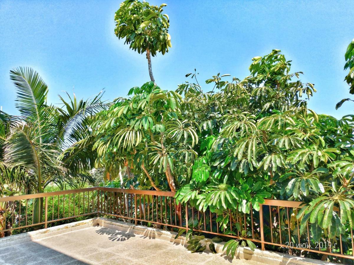 Constantaras Apartments بروتاراس المظهر الخارجي الصورة