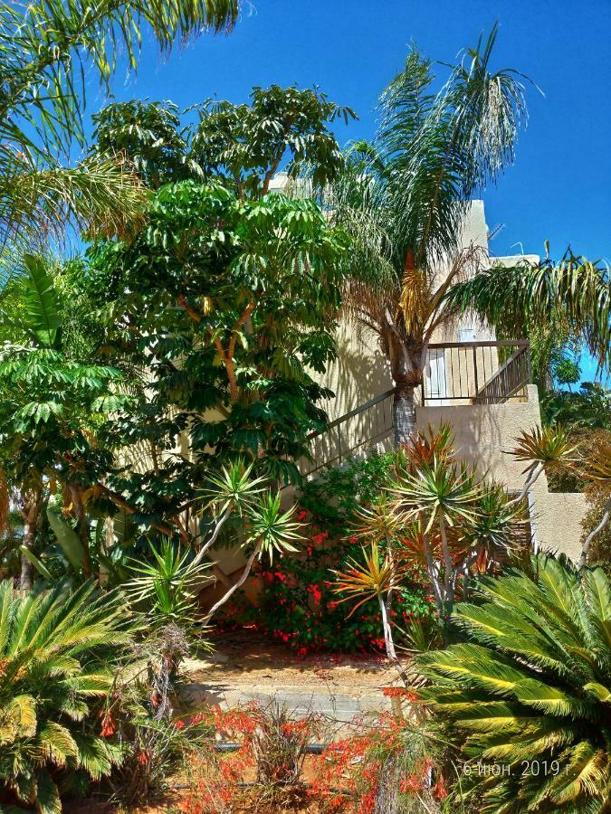 Constantaras Apartments بروتاراس المظهر الخارجي الصورة