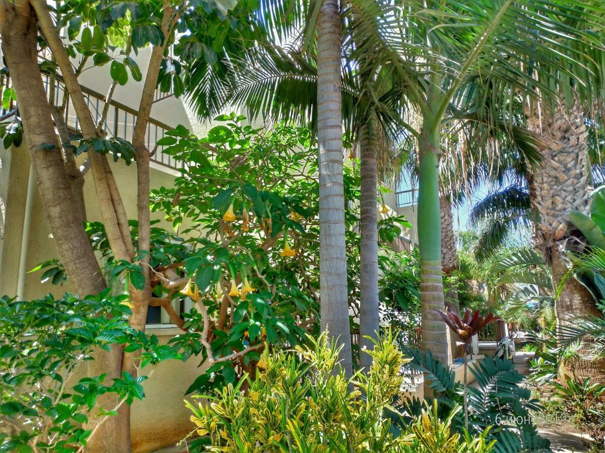 Constantaras Apartments بروتاراس المظهر الخارجي الصورة