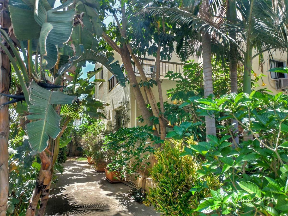 Constantaras Apartments بروتاراس المظهر الخارجي الصورة